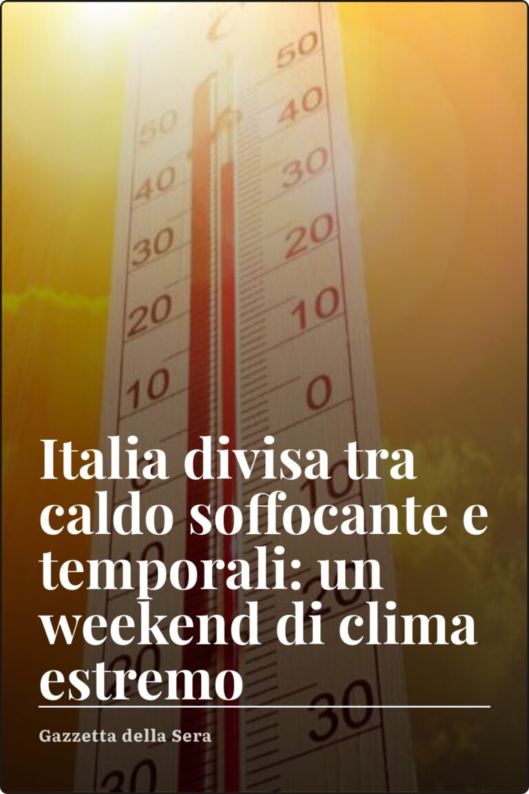 oggi 3
